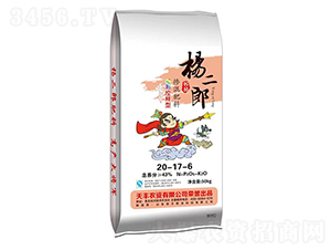 �������20-17-6-�����-���S�ʘI(y��)