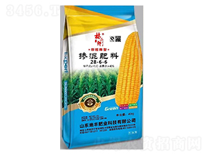 ����͓������28-6-6-�����-���S�ʘI(y��)