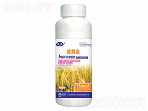 500g���S��-�sҫ�r(n��ng)�I(y��)