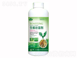 1000g�������焩-�sҫ�r(n��ng)�I(y��)