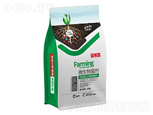 ���ϲ΢�������-�ʢ����