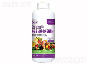 1000g����������֬-�sҫ�r(n��ng)�I(y��)