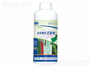 1000g��������ˮ�ܷ���-���L��ֱ���v�-�sҫ�r(n��ng)�I(y��)