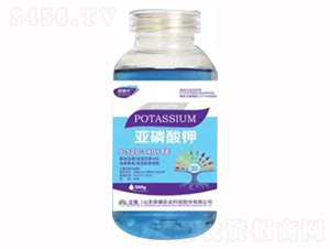 300g�������0-520-340+TE-�sҫ�r(n��ng)�I(y��)