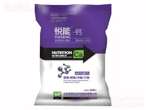 ����-�}-�sҫ�r(n��ng)�I(y��)