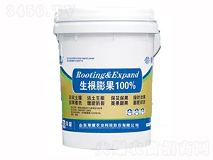 �������-�sҫ�r(n��ng)�I(y��)