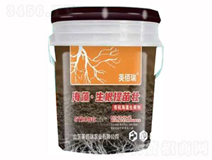 ���塤���������-�sҫ�r(n��ng)�I(y��)