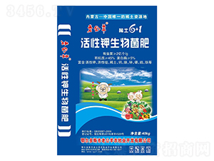 40kg������������-�Ϲ���-����