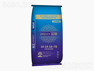 ����Ԫ��ˮ�ܷ�19-19-19+TE-���χ��H