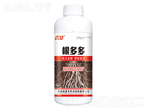 �����-�����S-��ï�r(n��ng)�I(y��)