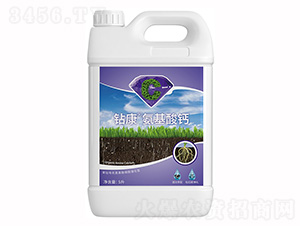 �@���������}-��ţ�r(n��ng)�I(y��)