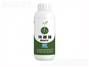 ������-��ţ�r(n��ng)�I(y��)