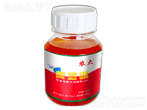 �r(n��ng)���}�V��-�S��¶-�r(n��ng)�]�ʘI(y��)