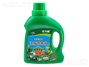 ˮ���͝�s�I�B(y��ng)Һ-����-�G�ַʘI(y��)