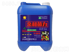 �����ďͺ�΢�������-�H�;���-����r