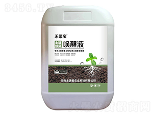 �����ޏ�(f��)����Һ-������-��M(m��n)ӯ