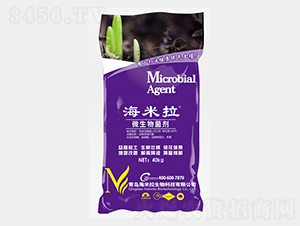 ΢�������-������