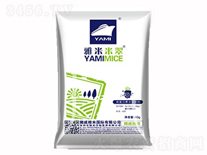 �����������~���-�����״�-�����r(n��ng)�I(y��)