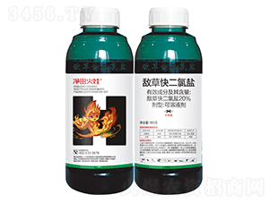 20%���ݿ�����}����Һ��-�������-�t̫�(y��ng)����