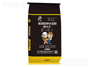 �S�����ˮ�ܷ�-��ʿ-�S��