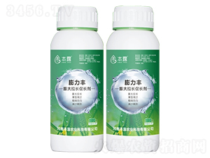 ������L(zh��ng)�̼���-�����S-��¶