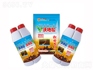 �ֵ���-ʢ������