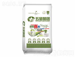 ���Ǿ��F(tu��n)-ʢ������