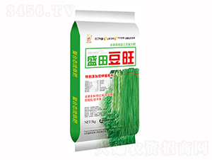 ʢ�ﶹ��-ʢ������