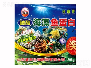 ̼ø�����~����-ʢ������