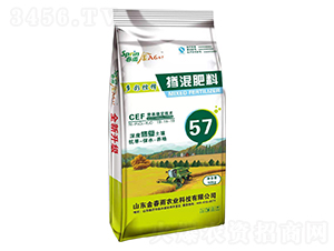 �������19-19-19-����