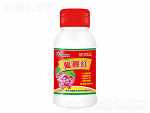 200ml���n�t�~���-��(chu��ng)�¿Ƽ�