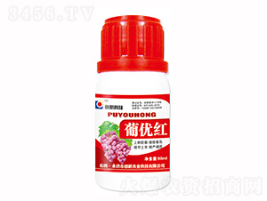 50ml�σ�(y��u)�t�~���-��(chu��ng)�¿Ƽ�