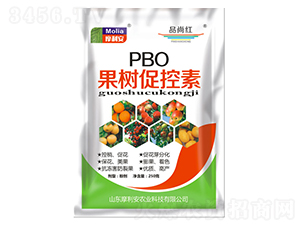 ����ٿ���-Ħ����