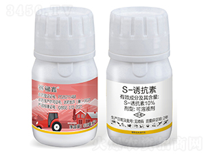 S-�T����-ِ����-���S�r(n��ng)�I(y��)