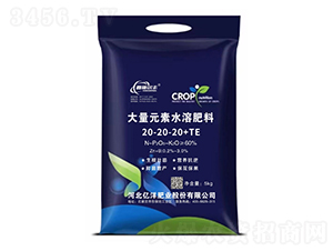 60%����Ԫ��ˮ�ܷ�20-20-20+TE-��ʩ���S-�|��ʘI(y��)