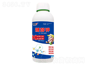 �Ǵ��-�S�տ�-���r����