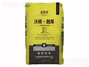 �ָ����n��-������-���P�(y��ng)