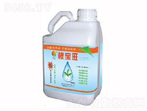 ������Һ�w���B(y��ng)����-���P�(y��ng)