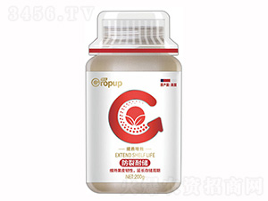 ���|(zh��)��Ч��~���-���Z