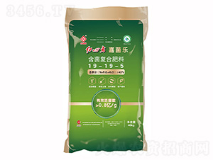 �����ͺϷ���19-19-5-�ξ���