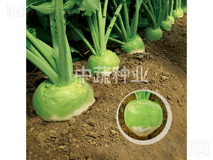 �A��(r��n)65-�}���N��-���߷N�I(y��)