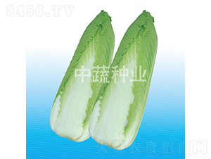 �G�S70-�ײ˷N��-���߷N�I(y��)