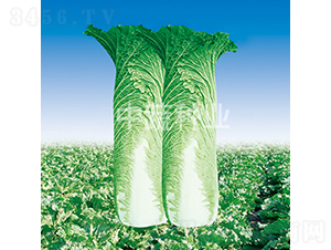 �а�76-�ײ˷N��-���߷N�I(y��)