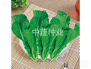 �116-�ײ˷N��-���߷N�I(y��)