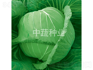 �и�9̖(h��o)-���{(l��n)�N��-���߷N�I(y��)