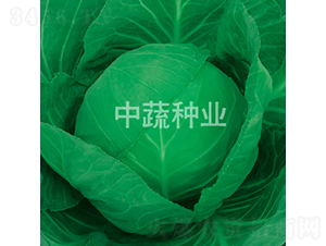 �и�16̖(h��o)-���{(l��n)�N��-���߷N�I(y��)