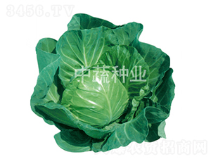 �и�15̖(h��o)-���{(l��n)�N��-���߷N�I(y��)