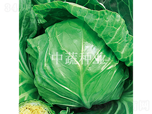 �и��Ѳ�-���{(l��n)�N��-���߷N�I(y��)