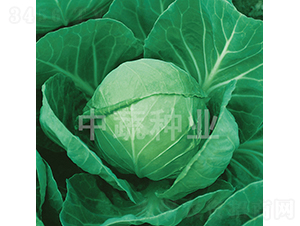 �и�21-���{(l��n)�N��-���߷N�I(y��)