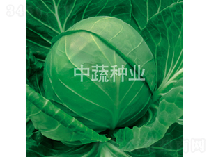 YR�и�21-���{(l��n)�N��-���߷N�I(y��)